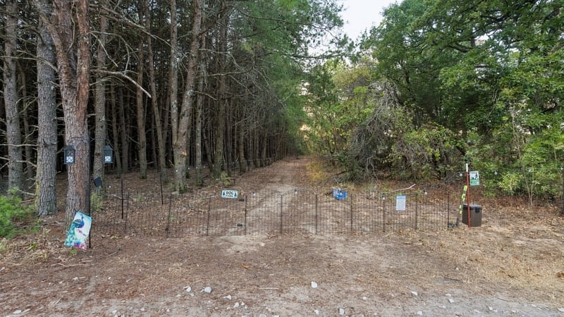 The Nest RV site at Peacock Pines