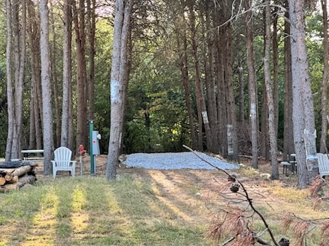 The Perch RV site at Peacock Pines