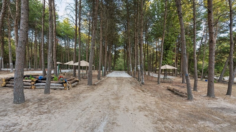 The Perch RV site at Peacock Pines