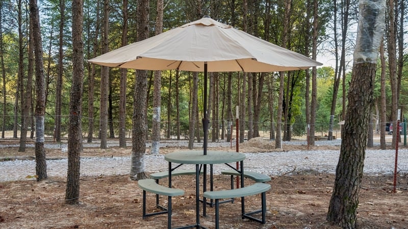 The Perch RV site at Peacock Pines