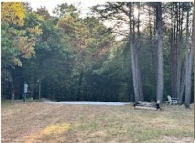 The Plume RV site at Peacock Pines